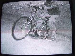 thebike.jpg